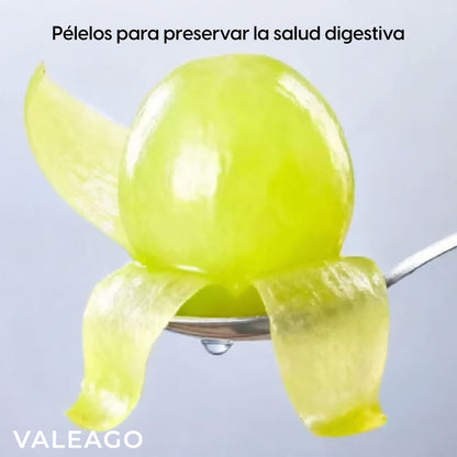 Mini Procesador Eléctrico